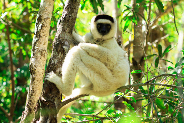 Radtour durch Madagaskar I 16 Tage