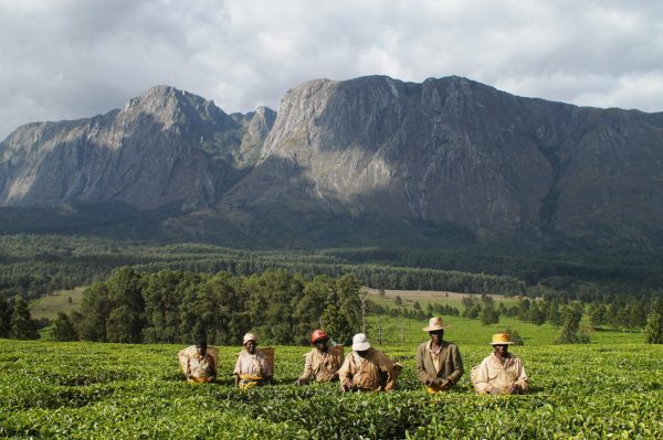 Malawi
